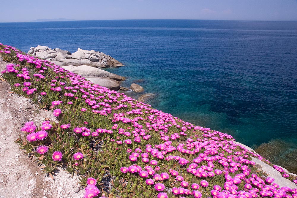 Sant'Andrea, Isola d'Elba